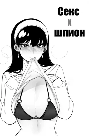 Секс X шпион - Глава 1.2 Дополнительная История (Spy x Sex)