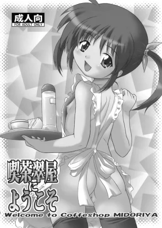 Разносторонняя Наноха - часть 2 (Nanoha Dukushi Mahou Shoujo Lyrical Nanoha Soushuuhon)