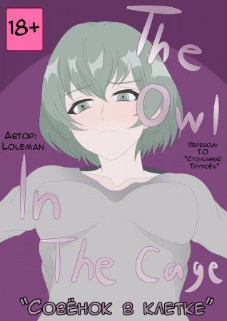 Совёнок в Клетке